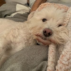 Meet your Posher, Aliza